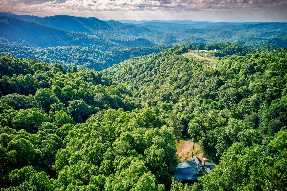 This image captures a sweeping vista of lush green forests, rolling fields, and distant mountain peaks beneath a broad sky. The hint of a structure at the edge invites the viewer to imagine embarking on a hike straight into the landscape. The scene is tranquil, with an open invitation to explore, observe wildlife, and experience seasonal changes.